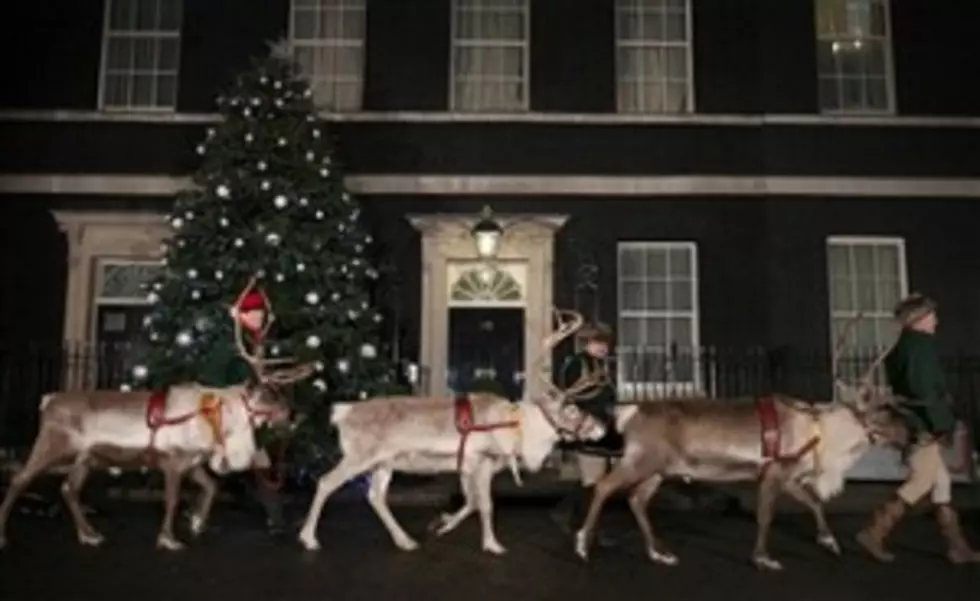 What Were the Original Names of Santa&#8217;s Reindeer?
