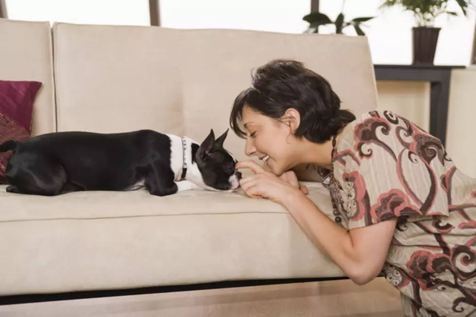 Talking to Your Pet Makes You Smarter
