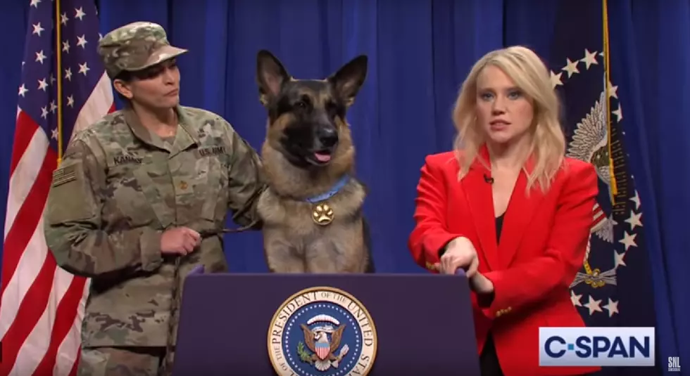 Endwell Dog Shines in 'Saturday Night Live' Role