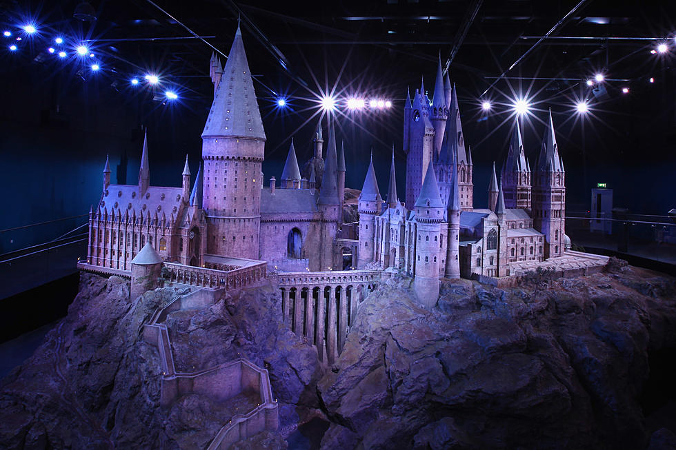 Massive Harry Potter Store Opening in NYC