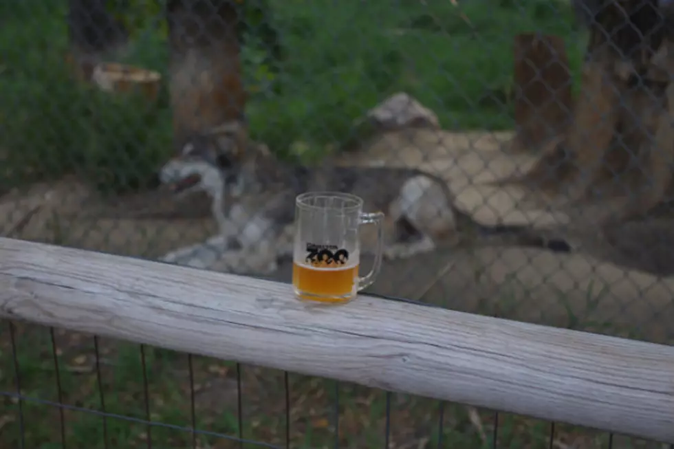Dakota Zoo&#8217;s &#8216;Brew at the Zoo&#8217; Doubles Crowd Size in Second Year