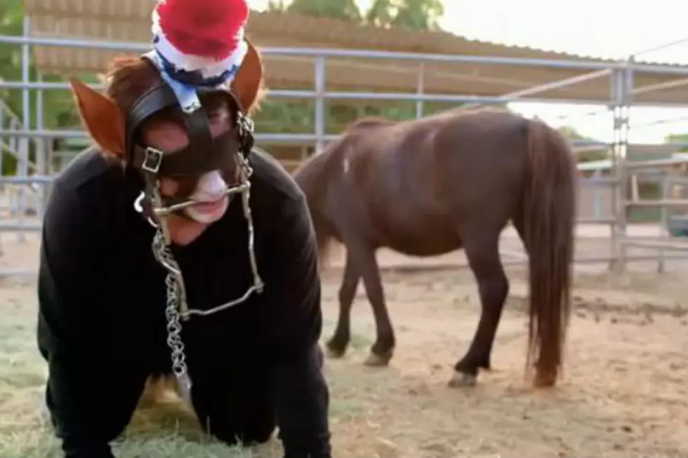 Thanks to TLC, I Now Know What ‘Pony Play’ Is [VIDEO]