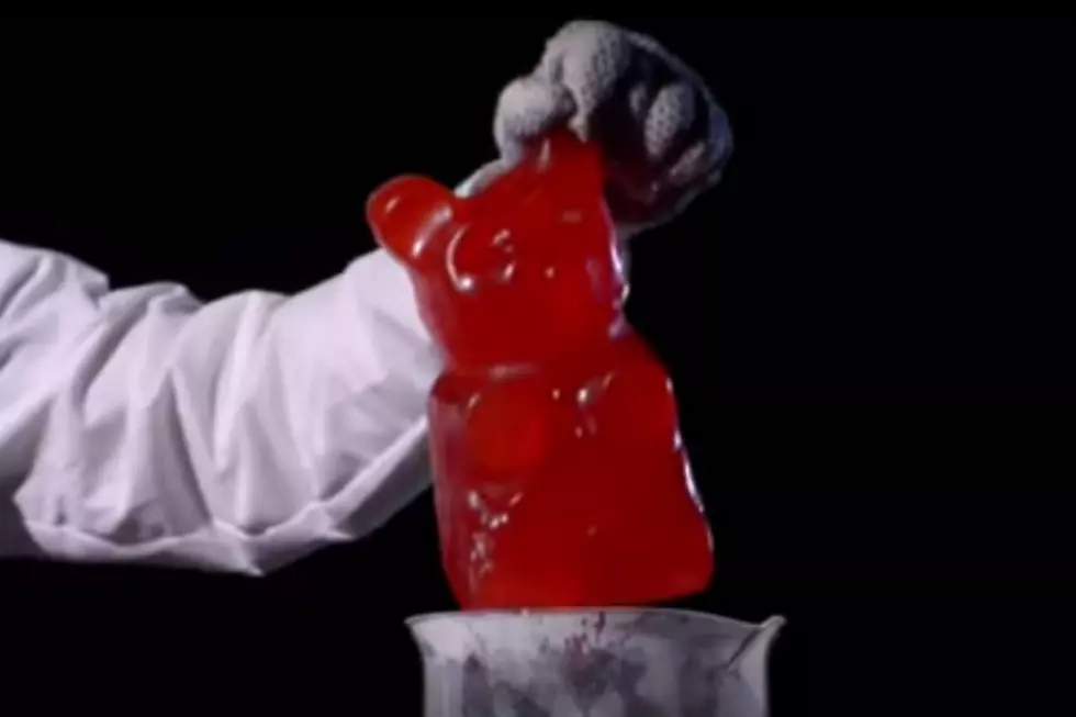What Happens When You Drop a Giant Gummy Bear in Potassium Chlorate? [VIDEO]