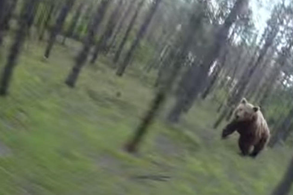 Is This Cyclist Really Being Chased by a Bear? [VIDEO]