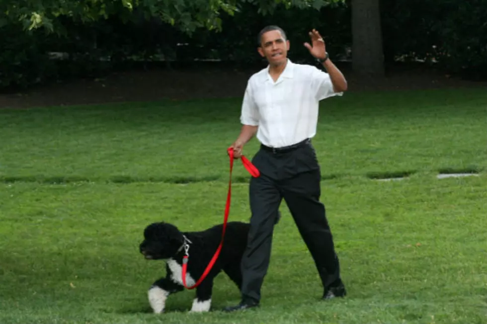 Attempted Theft of Obama's Dogs