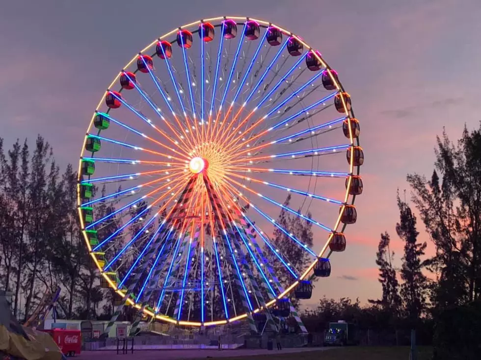 Will There Be "Twelve Days Of Fun" In Minnesota? (VIDEO)