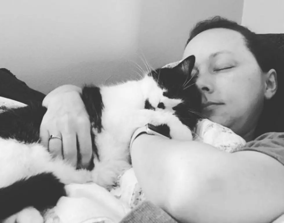 Cat Saves A Minnesota Woman's Life - Detects Cancer.