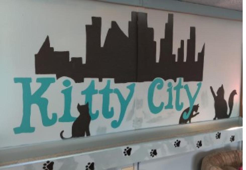 August 28th - Kitty City - A PURRRR-FECT Place To Be!