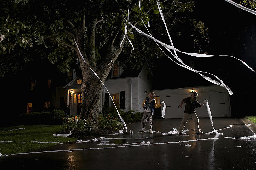 Halloween Weekend &#8211; Parties, Toilet Paper &#8211; Traditions Right?