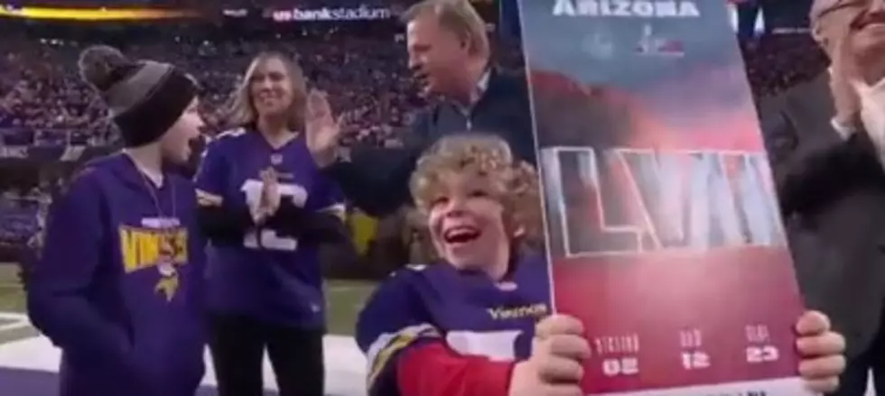 Roger Goodell Made Minnesota Cry BEFORE Their Loss ( Video )