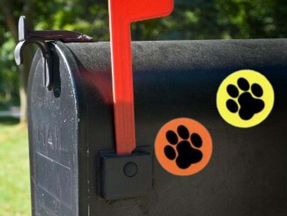 In ND, "Mailman's Best Friend" - Paw Stickers On Mailbox