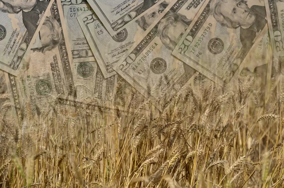 Forecast Calls For Federal Aid To ND Farmers And Ranchers