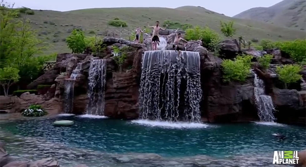 Ever Wonder What a $2 Million Pool Looks Like? [VIDEO]