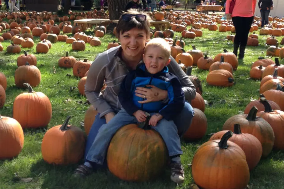 Papa’s Pumpkin Patch Named One of the Coolest in the Country