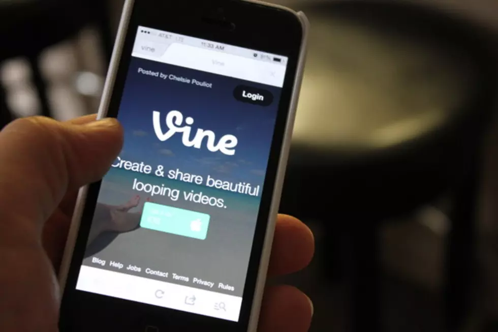 The End of Vine
