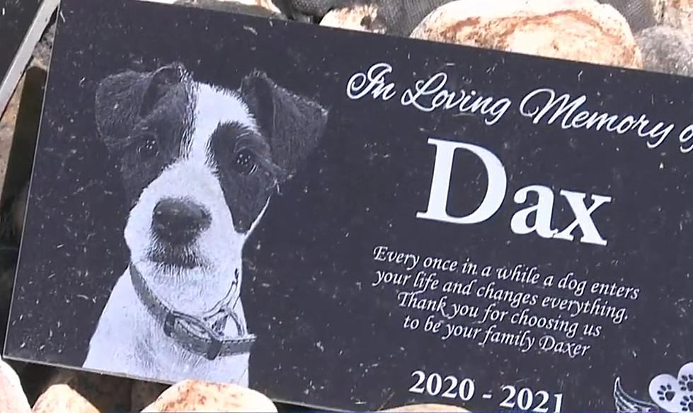Minnesota Couple Offer $1,500 Reward To Find Alleged Dog Murderer