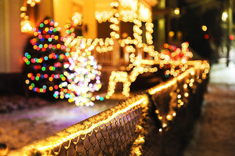 Find Out Where You Can See the Best Christmas Displays in BisMan
