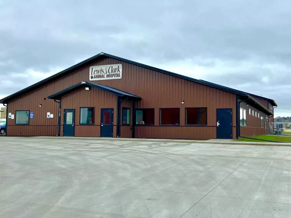 Bismarck's Lewis & Clark Animal Hospital Moves To New Location
