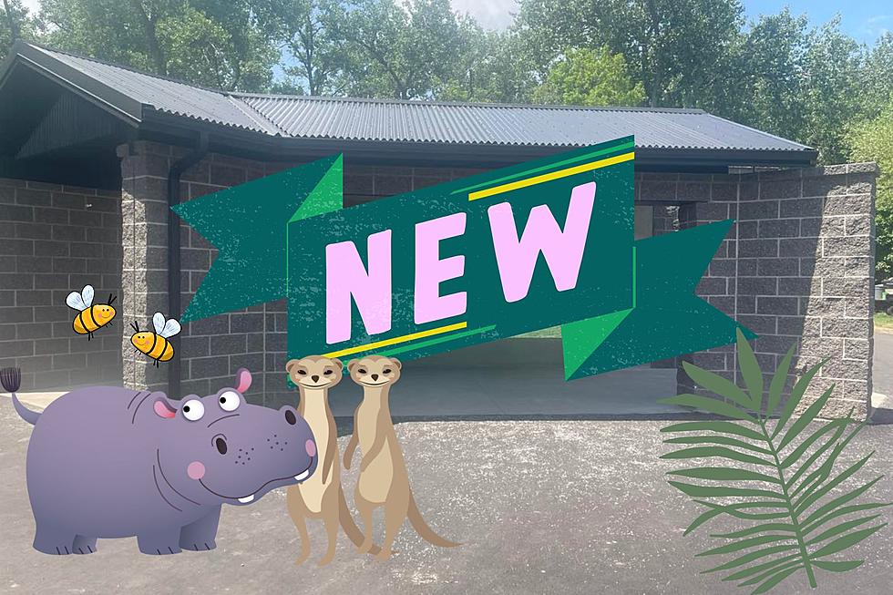 Something New Is Coming To Bismarck’s Dakota Zoo