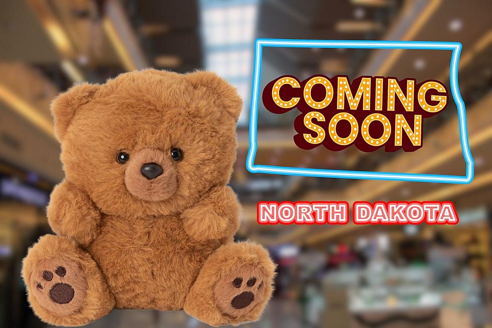 Build-A-Bear Workshop Coming To North Dakota!
