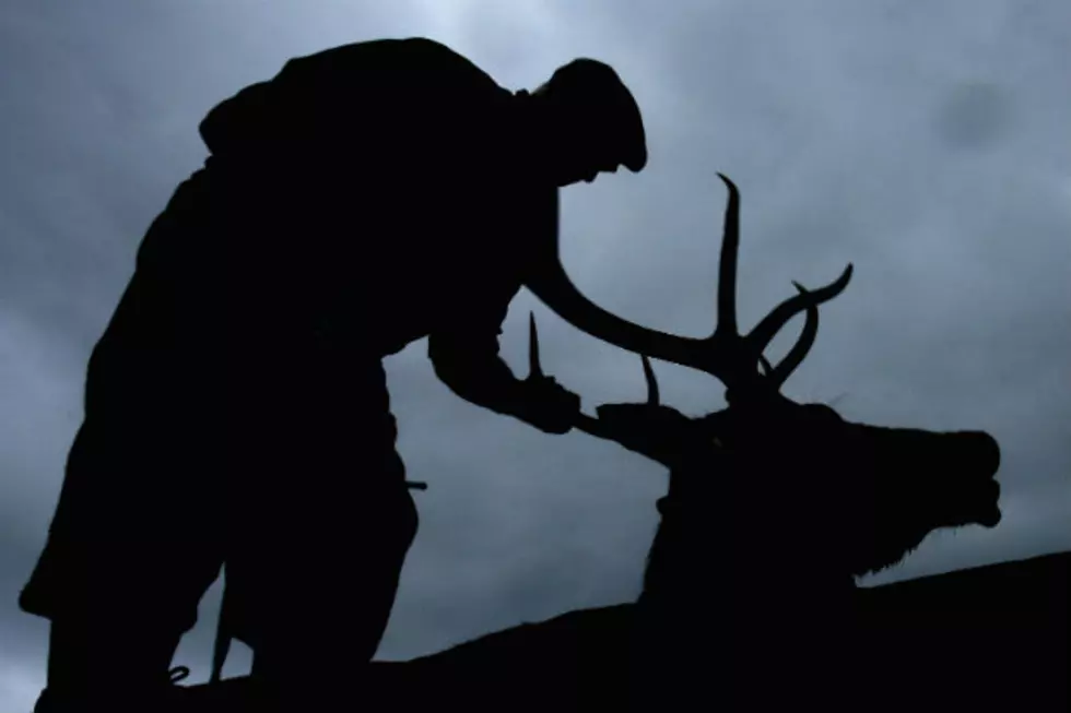 Fewer Deer Licenses Being Offered in North Dakota