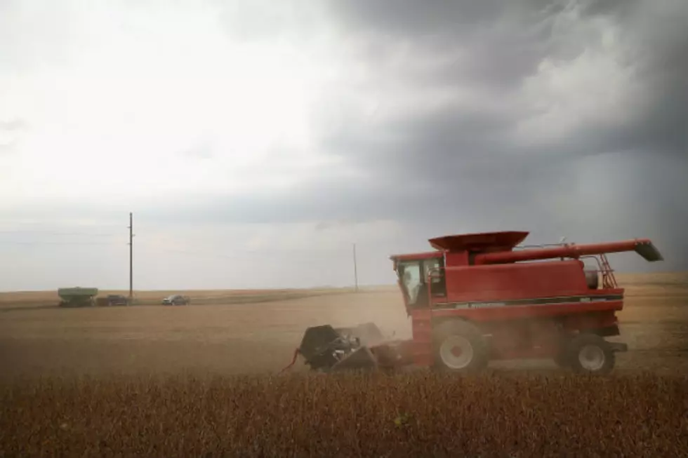 Severe Weekend Storms Hurt Crops in North Dakota