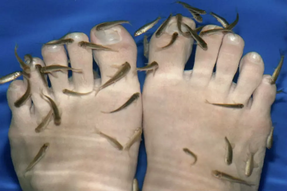 Supreme Court Rejects Appeal Over Fish Pedicure Ban