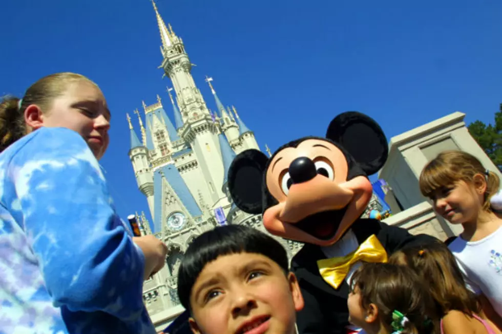 Disney Cracks Down On Selfie Sticks