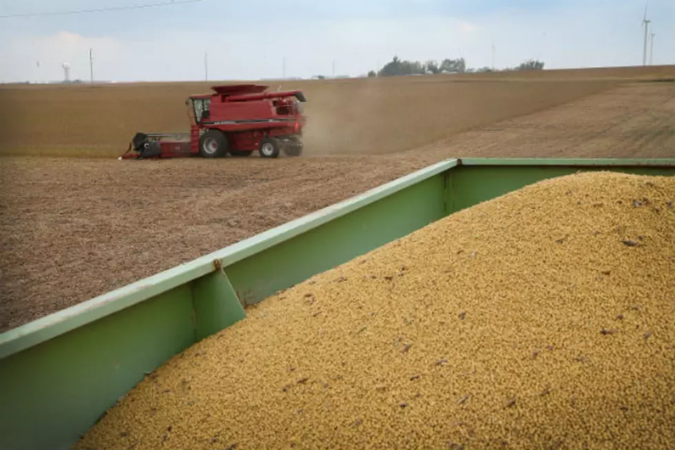 Asian Buyers Look At North Dakota Soybeans
