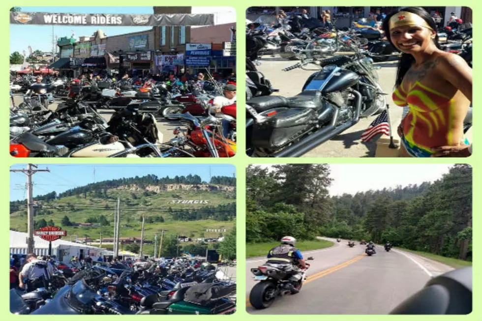 Record Number of Deaths Recorded for 75th Sturgis Rally