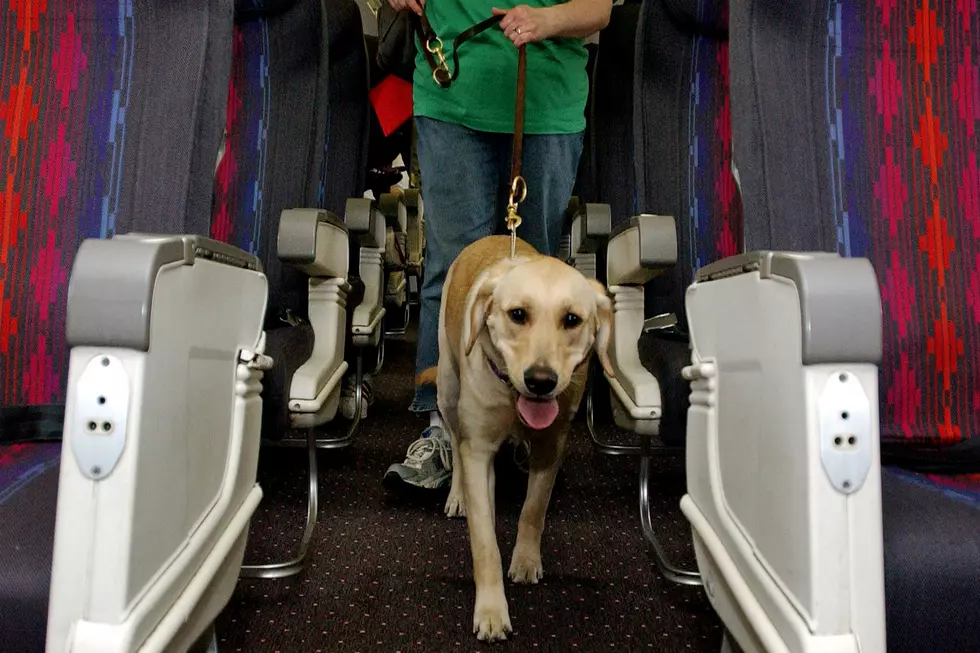Blind Woman: &#8220;They Kicked Me &#8211; and My Dog &#8211; Off the Plane&#8221;