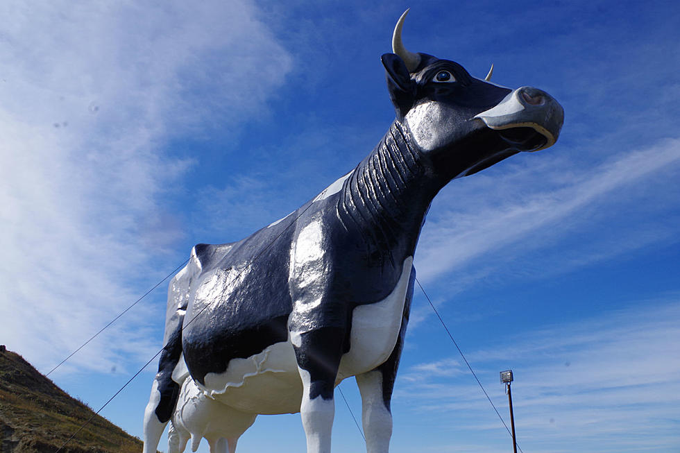 Utterly Fun With  Cow Town Hoe Down In New Salem, North Dakota