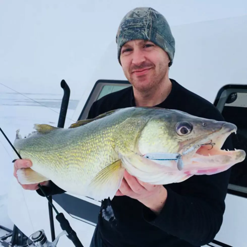 5 Must Have Hardwater Season Lures From PK Lures