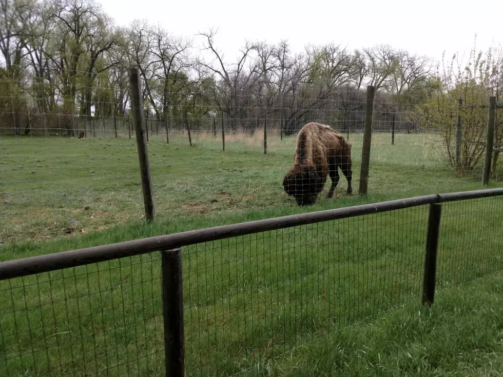The Dakota Zoo Opened On Saturday