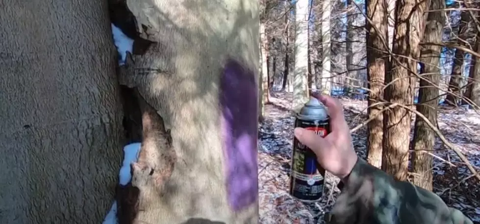 If You See Purple Paint In The Woods, You Should Leave