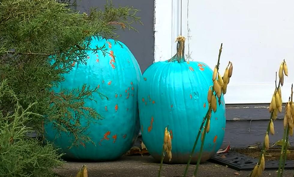 Have You Seen Teal Pumpkins In ND During Trick or Treating?