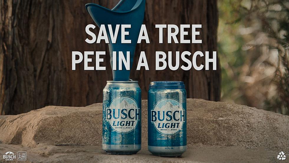 Busch Light Bismarck&#8217;s Favorite Beer Says Pee On A Busch?