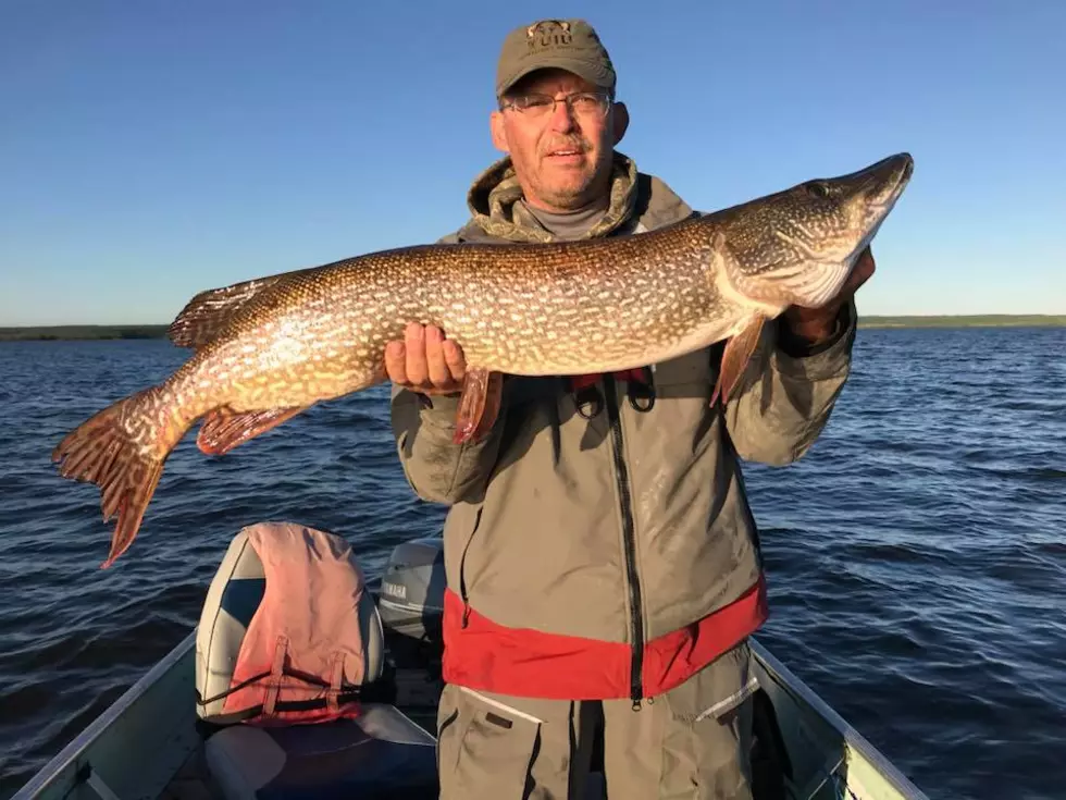 WATCH A Devils Lake North Dakota Fish Story That's Actually True