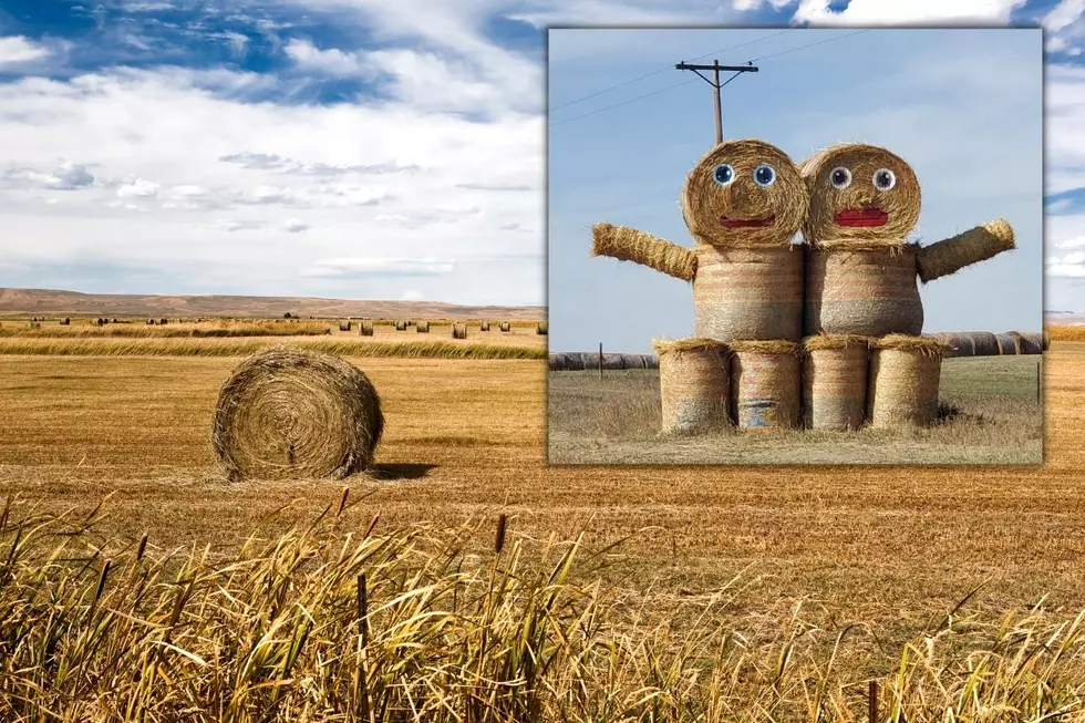 "Hay People!" Keep Your Eyes Open On The Drive North Dakota