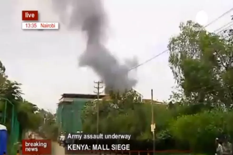Two Militants Killed in Kenyan Mall Seige