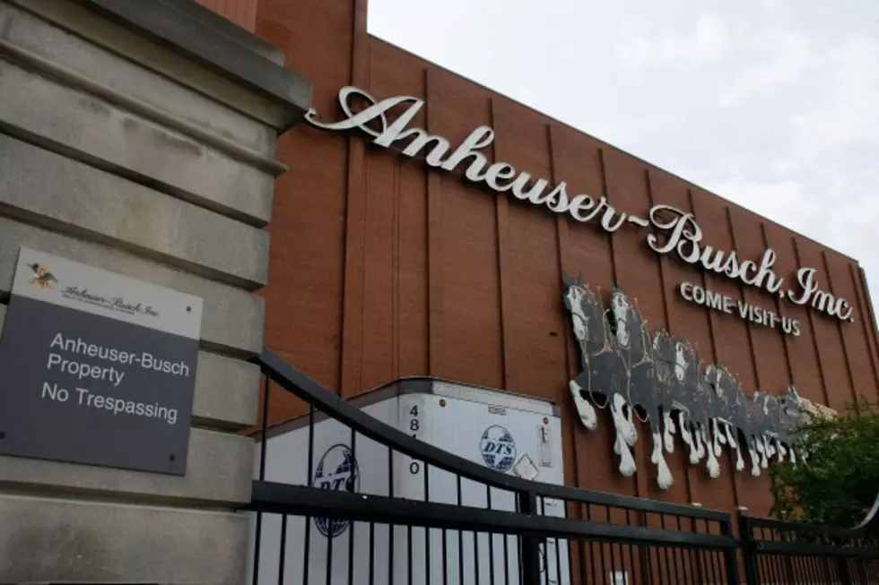 Lawsuit Claims Anheuser-Busch Waters Down Beer &#8212; That&#8217;s a No Brainer