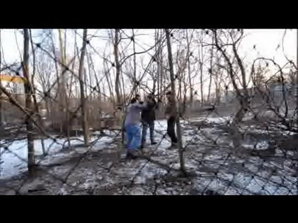 Wisconsin Men in Trouble for Trapping + Putting T-Shirt on Deer [VIDEO]
