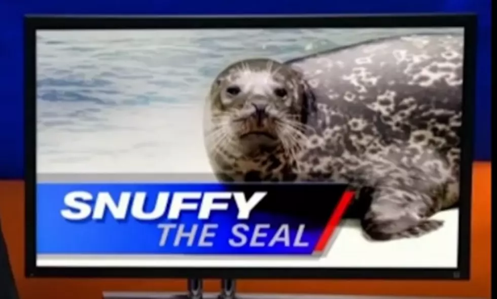 "Snuffy the Seal" Gets Snuffed