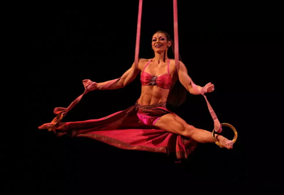 Cirque du Soleil Performer Killed in Las Vegas Show