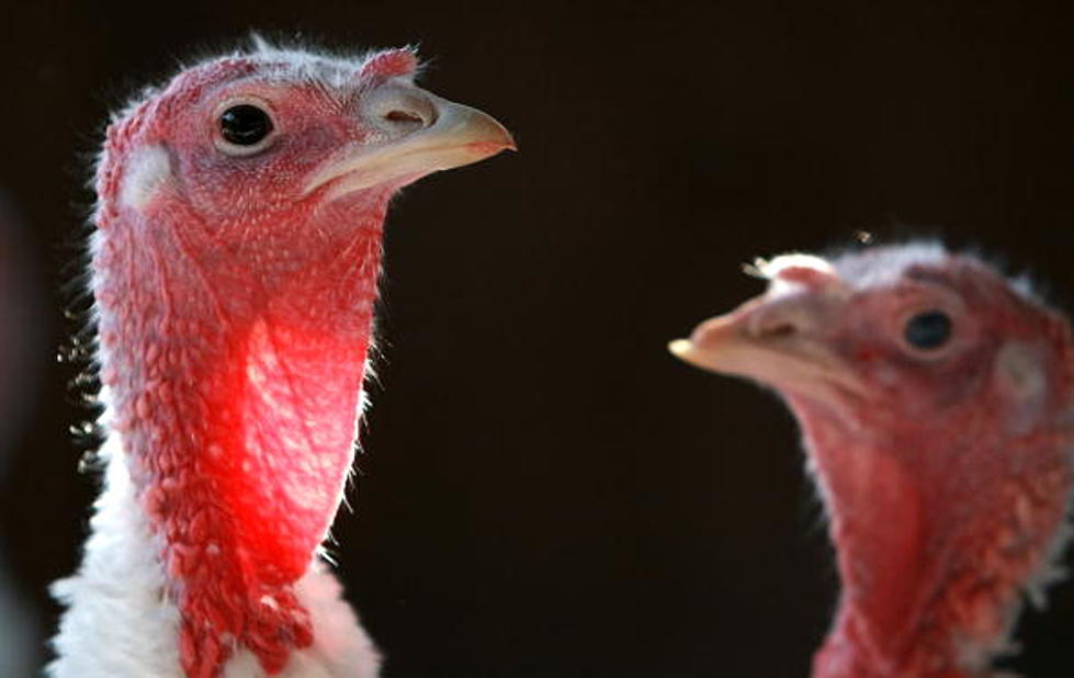 Bowl For Turkeys: Provide Community Thanksgiving Dinner & WIN Prizes