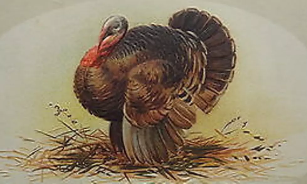 Singing Turkey-SILLY Thanksgiving Greeting Card