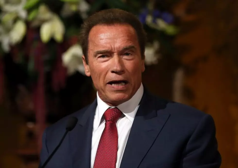Arnold Schwarzenegger Coming Back to Play &#8216;Conan the Barbarian&#8217;