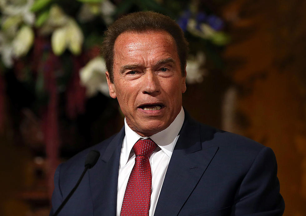 Arnold Schwarzenegger Coming Back to Play ‘Conan the Barbarian’