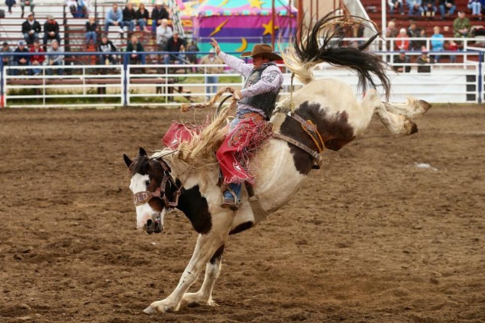 The 40th Anniversary of the Colorado Pro Rodeo Finals are Coming