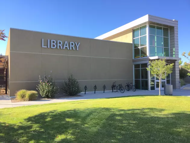 Mesa County Libraries Get a Snow Day